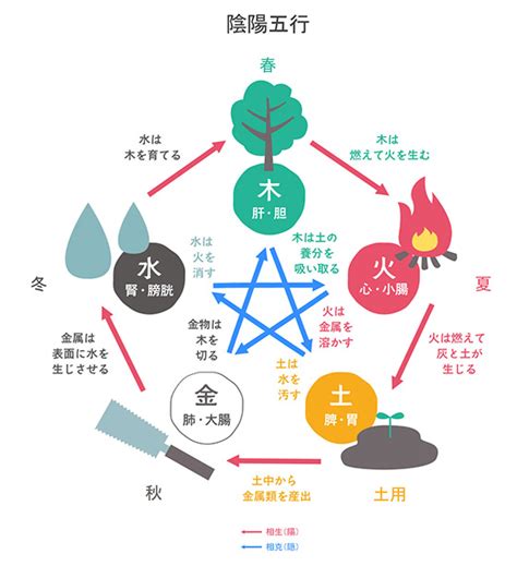 風 五行|五行思想「木」で考察する、風神雷神がいつも一緒にいる理由